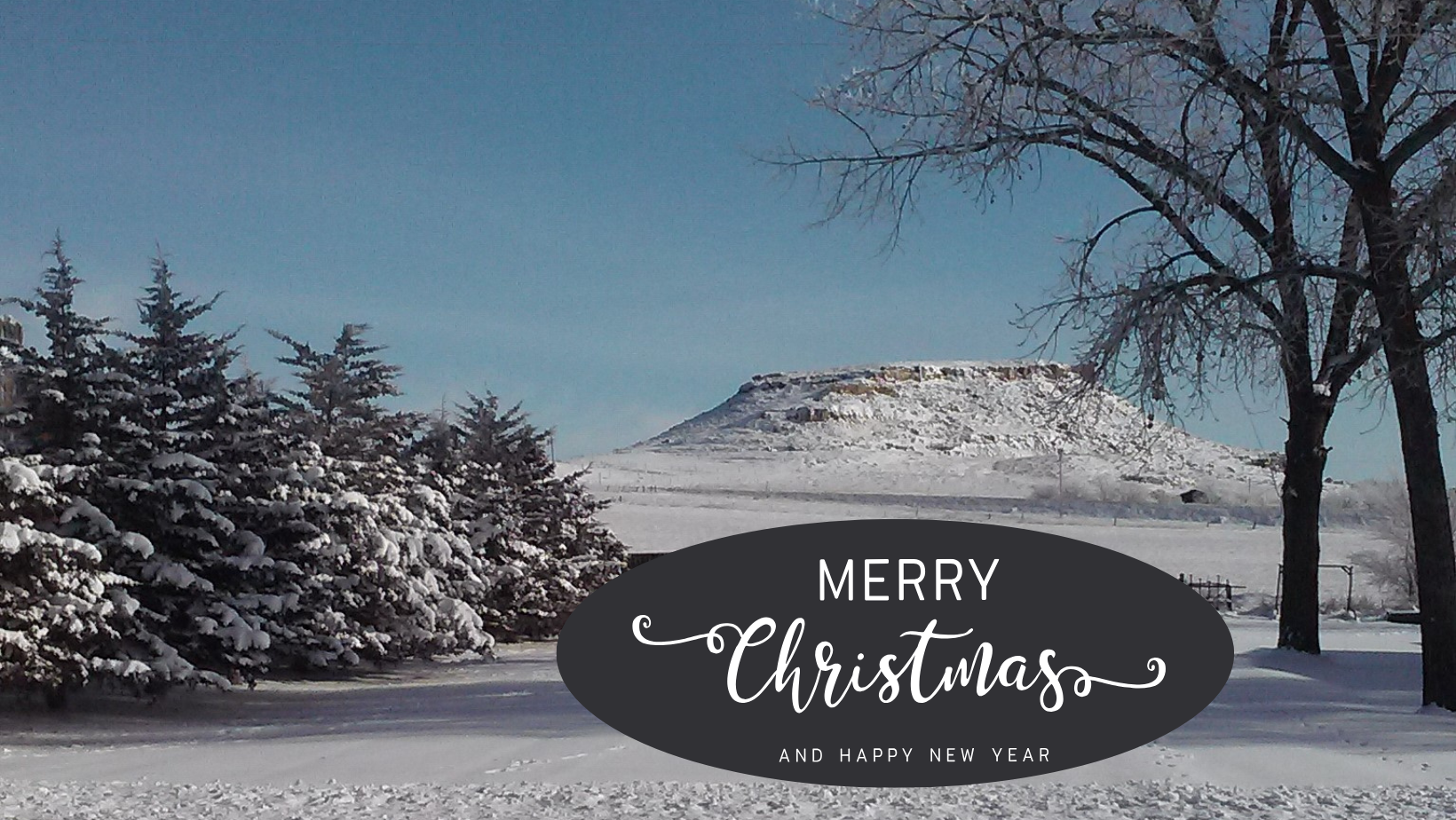 Merry Christmas